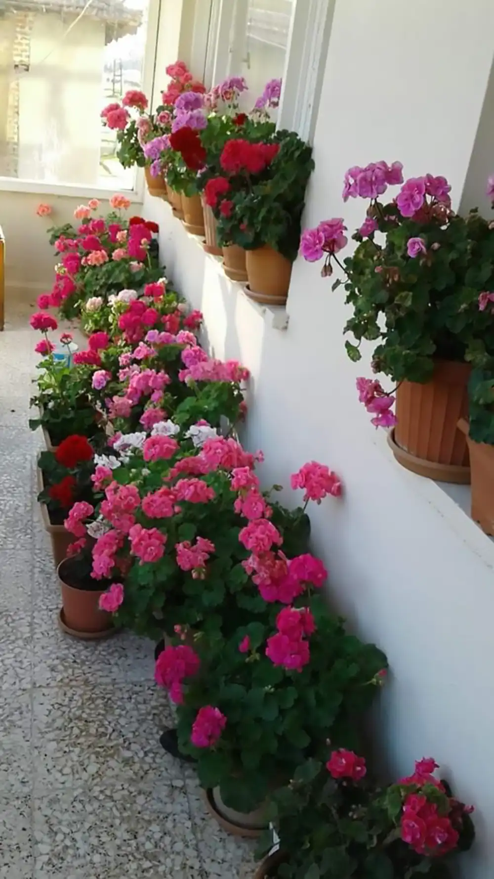 دکور بالکن خیلی کوچک