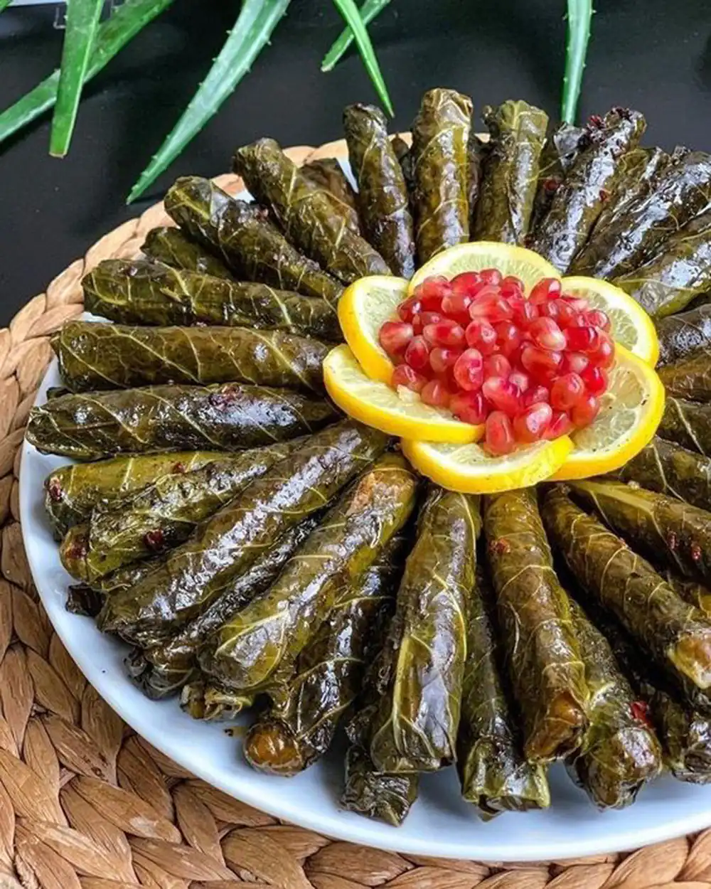 تزئین غذای ساده