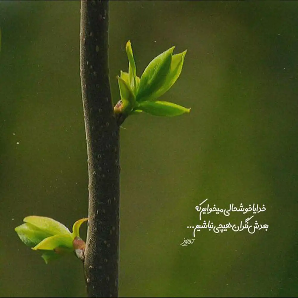 عکس نوشته خدا