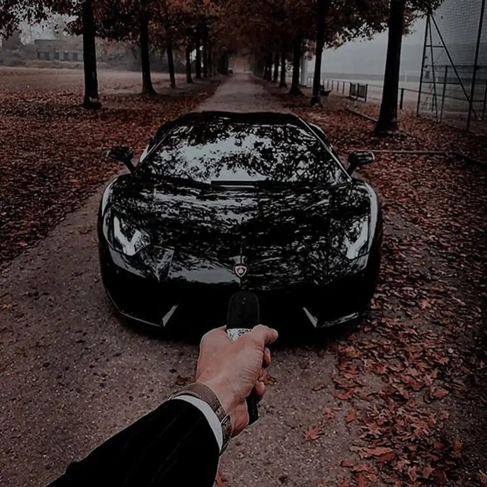 عکس پروفایل پسرانه لاکچری