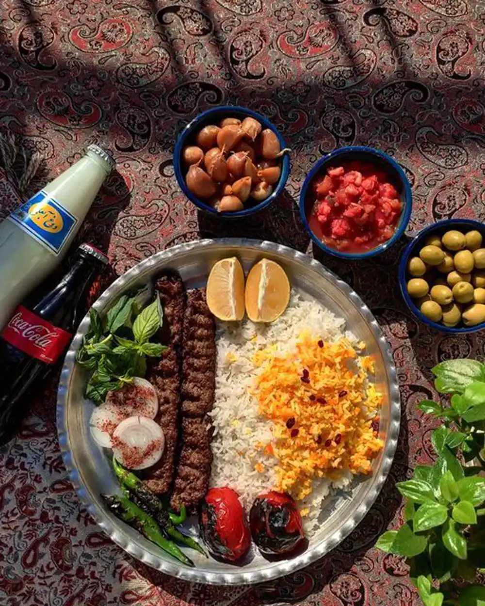 تزئین کباب برای مهمانی