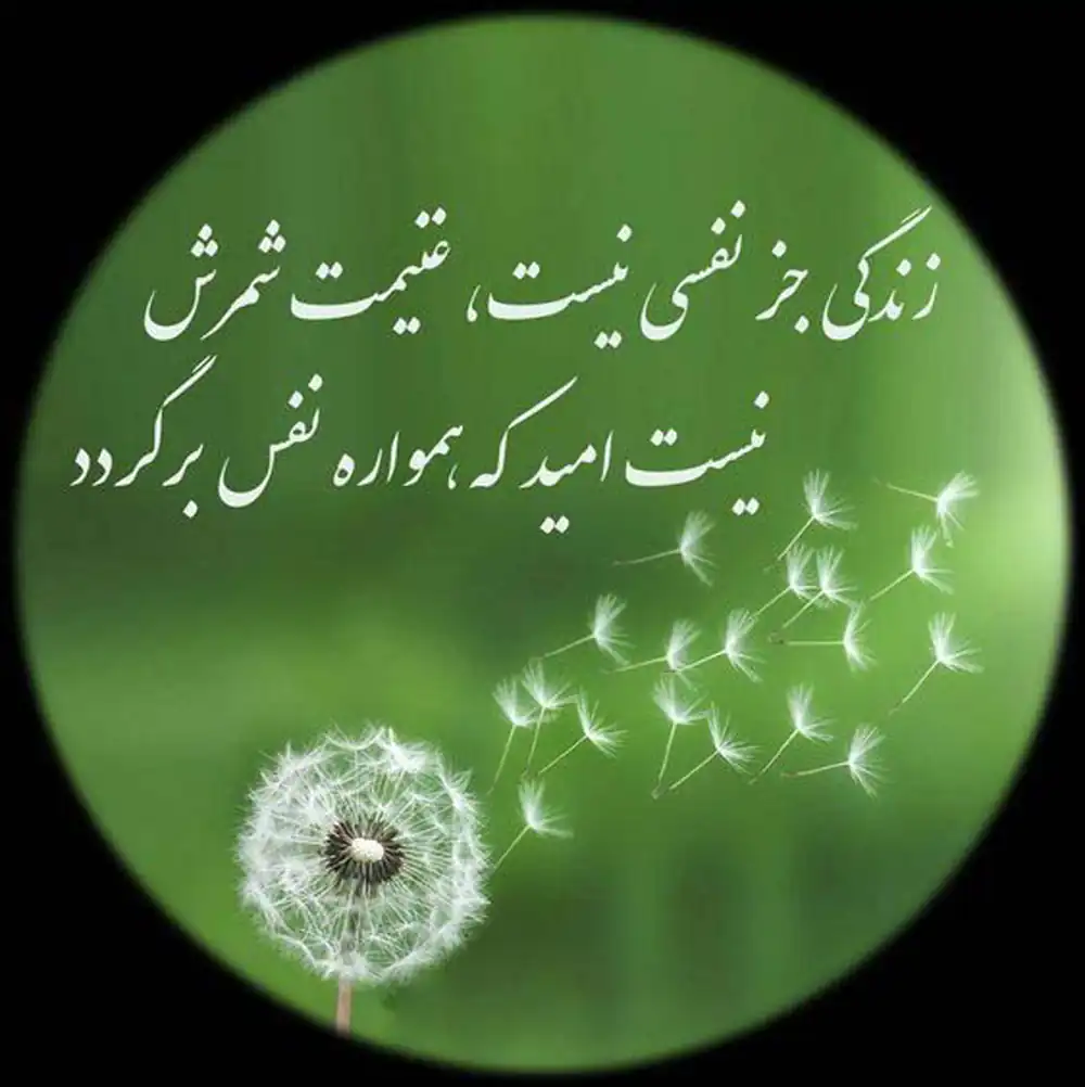 عکس پروفایل نوشته خدا